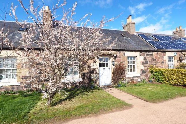 Thumbnail Terraced house to rent in Lochhouses Cottages, Tynighame, East Linton