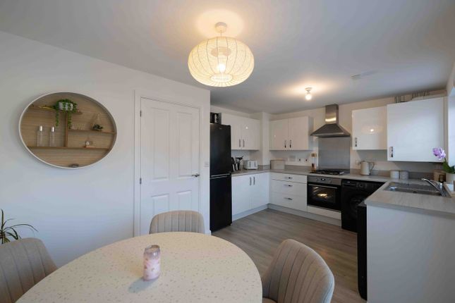 63, Merlin Avenue, Dover photo 4