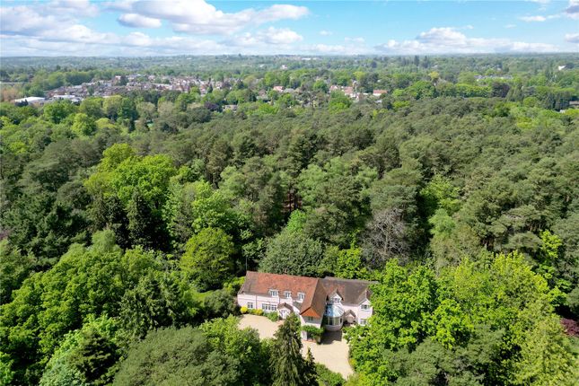 Thumbnail Detached house for sale in Heathfield Avenue, Ascot