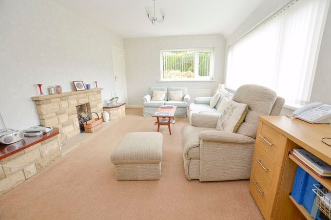 10, Higher Warborough Road, Brixham photo 5