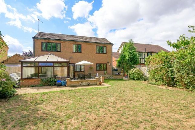 12, Sutton Meadows, Wisbech photo 4