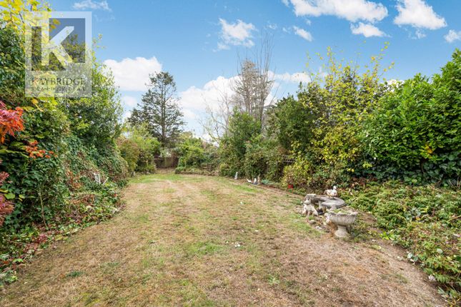 67 Amberley Gardens, Epsom photo 4