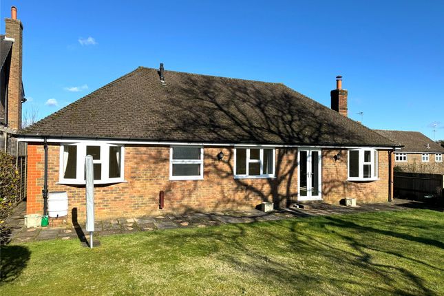 Bungalow to rent in Knoll Road, Dorking, Surrey