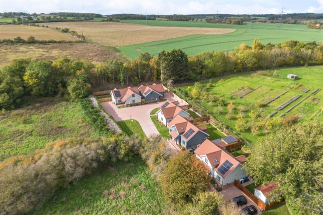 Ermine Street, Buntingford photo 4