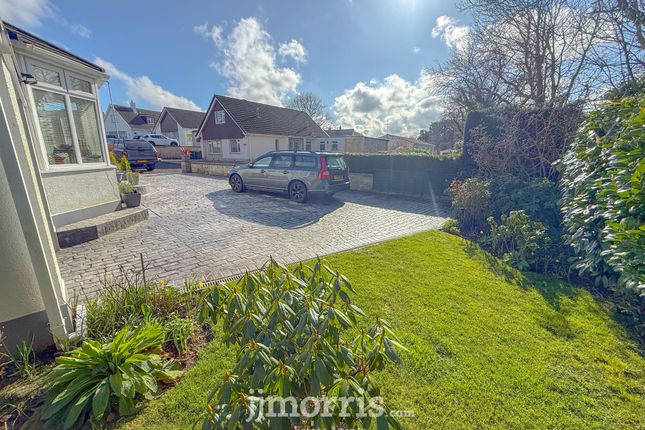 Swn Y Coed Maes-y-Coed, Cardigan photo 3