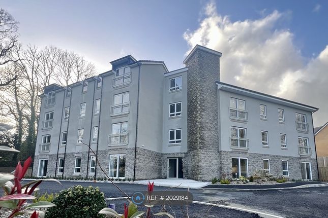 Thumbnail Flat to rent in Bronwydd Road, Carmarthen