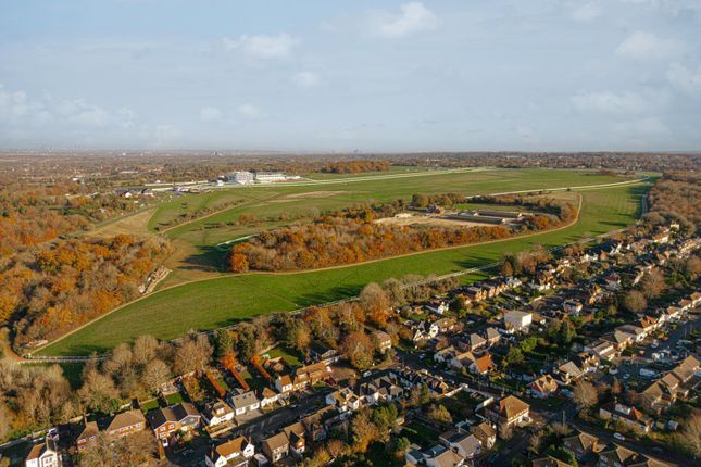 Photo 2.Jpg