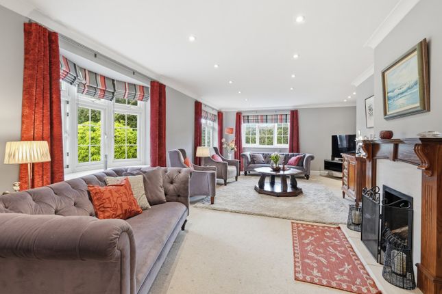 Ivory,, Woodside Green, Bishop's Stortford photo 4