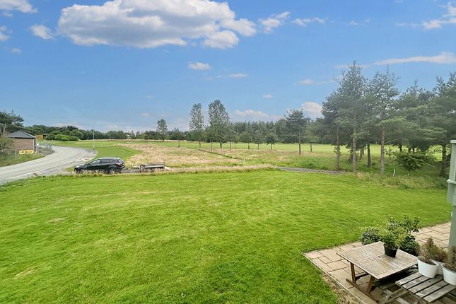 2 Bamburgh Cottage, Burgham Park, Morpeth photo 3