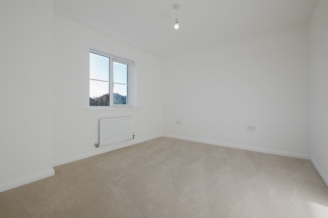2 Fawcett Close - spruce, Leaf Living at Wilton Gate, Netherhampton SP2, Netherhampton photo 4
