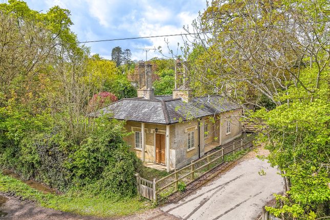Detached bungalow for sale in Bramshaw, Lyndhurst