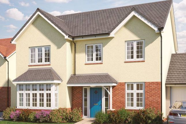 Thumbnail Detached house for sale in "Maple" at Penhill View, Bickington, Barnstaple