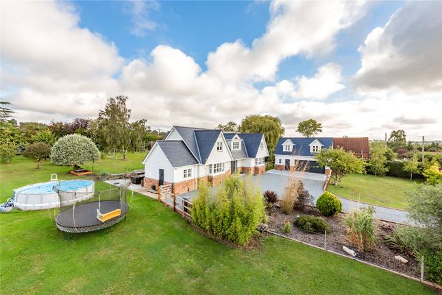 Thumbnail Detached house for sale in South Hanningfield Road, Rettendon Common, Chelmsford, Essex