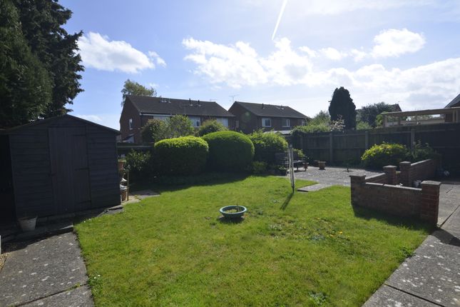 Detached bungalow for sale in Sandy Close, Trimley St. Martin, Felixstowe