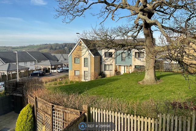 Axminster photo 3