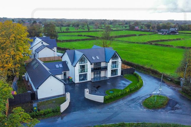 Dji_Fly_20251024_094822_435_1761295771457_Photo_Op