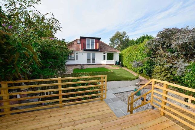 Thumbnail Detached bungalow for sale in Oyster Close, Paignton