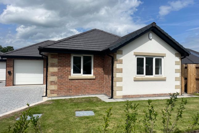 Thumbnail Bungalow for sale in Bleasdale Road, Whittingham, Preston