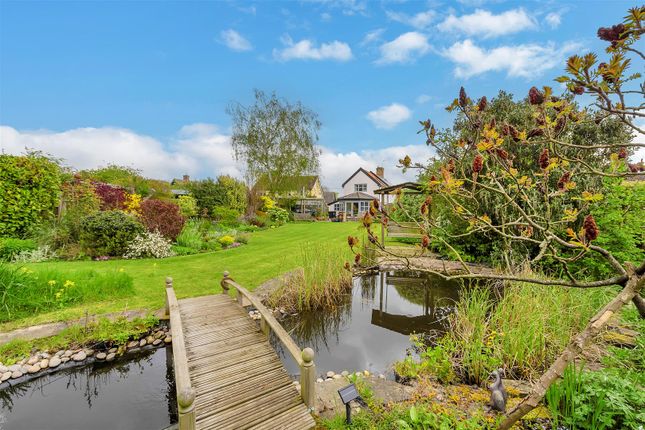 Thumbnail Detached house for sale in The Street, Hessett, Bury St. Edmunds