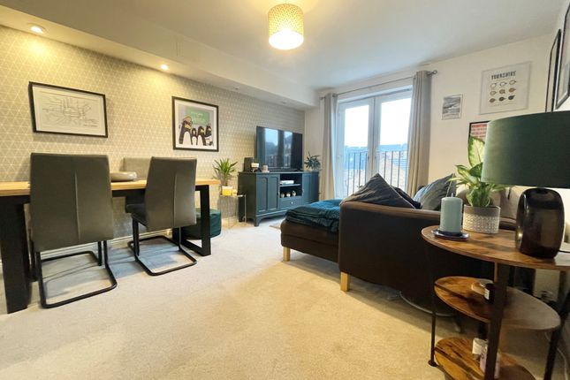 36, Sheffield photo 5