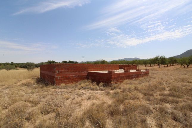 Land for sale in Partida De Canya, Polígono 9, Parcela 148, Biar, Alicante, Valencia, Spain