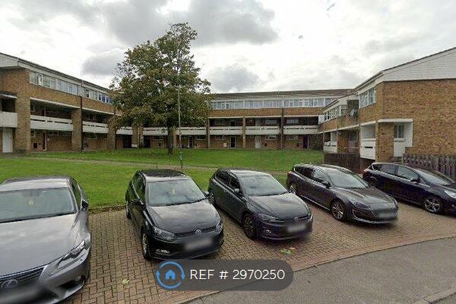 Brockles Mead, Harlow photo 3