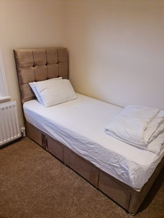 19, READING  photo 4