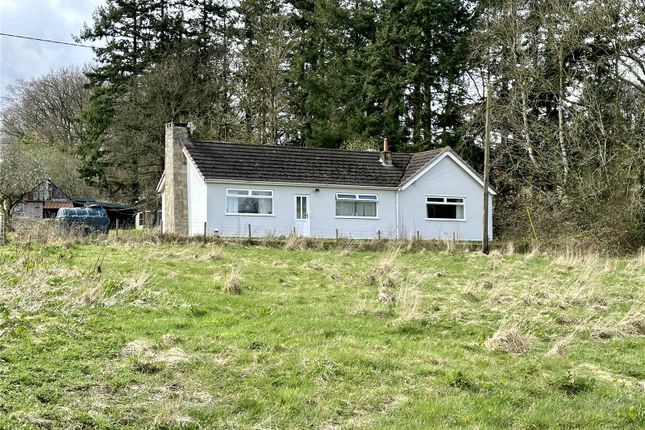 Bungalow for sale in Mochdre, Newtown, Powys