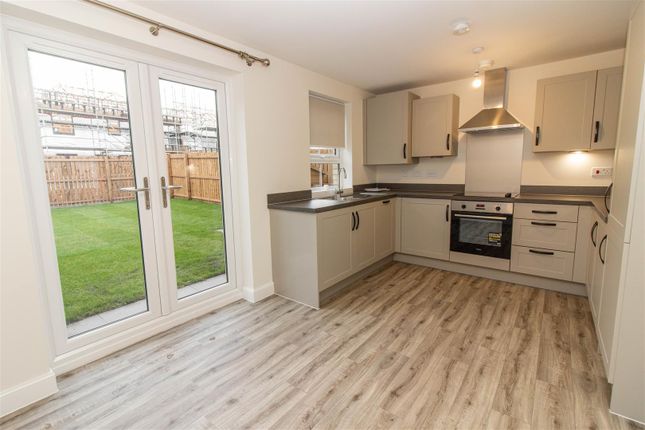 Semi-detached house to rent in Clematis Court, West Meadows, Cramlington