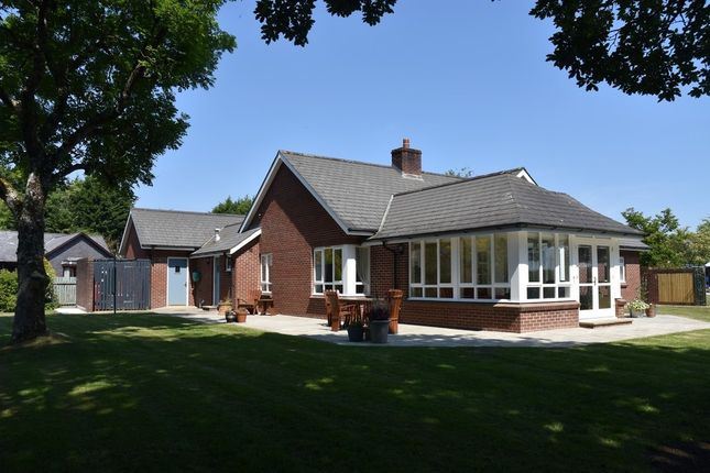 Thumbnail Detached bungalow for sale in Fynnon Wen, Waungiach, Llechryd