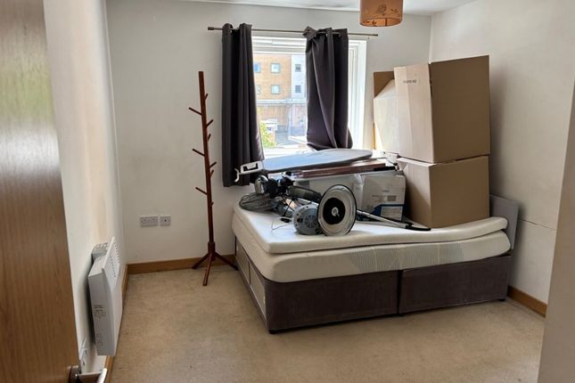 31, Caelum Drive (FFF), COLCHESTER photo 5