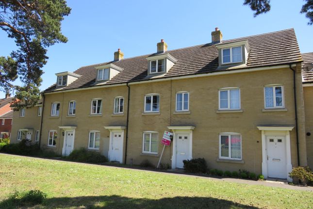 Thumbnail Property to rent in Rowan Place, Red Lodge, Bury St. Edmunds
