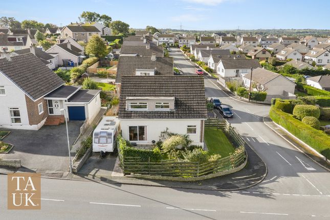 Y Wern, Llanfairpwllgwyngyll photo 3