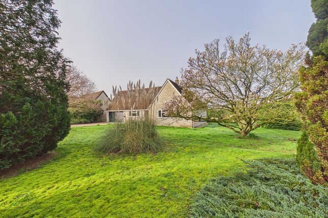 8, Neville Park, Baltonsborough photo 4