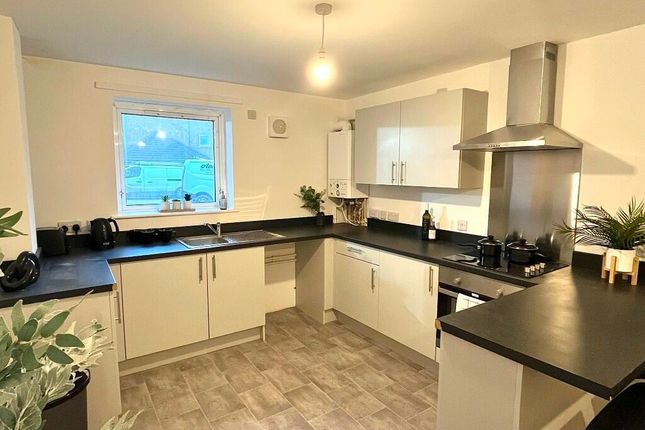 Bright And Modern Kitchen Featuring Ample Counter ...