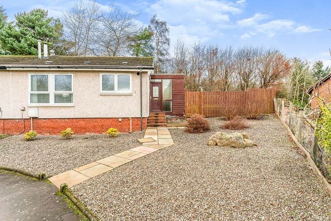 Thumbnail Bungalow for sale in Murray Crescent, Maddiston, Falkirk, Stirlingshire