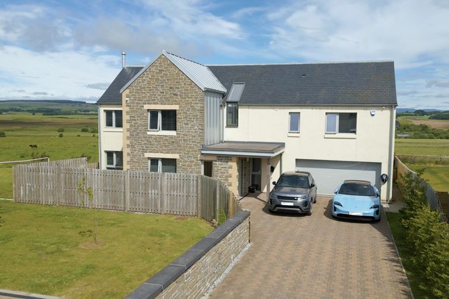 Thumbnail Detached house for sale in Newton Of Buttergrass, Blackford, Perthshire