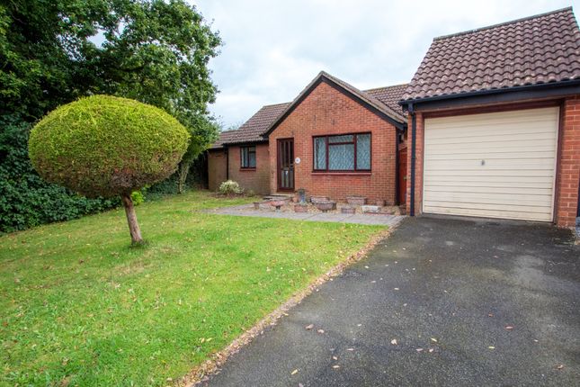 Thumbnail Bungalow for sale in Laurel Road, Honiton