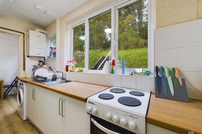 206 Wild Park Close, Brighton photo 3
