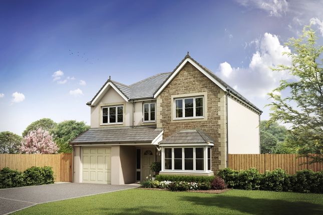 Thumbnail Detached house for sale in Paddock Drive, Kendal