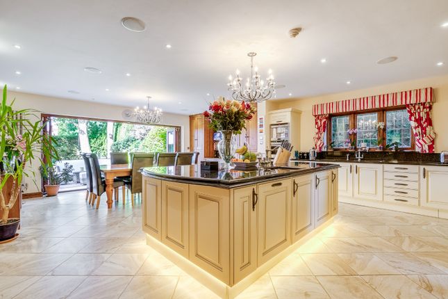 Moormead Hill House, Offley Road, Hertfordshire photo 2