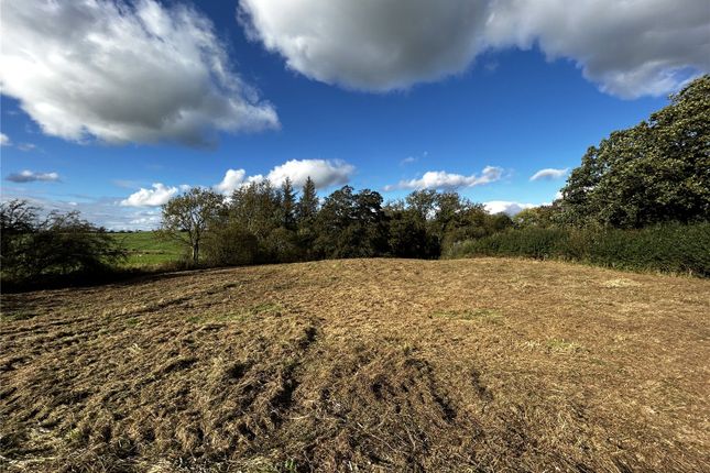 Land for sale in Land At Lees Hill, Brampton, Cumbria