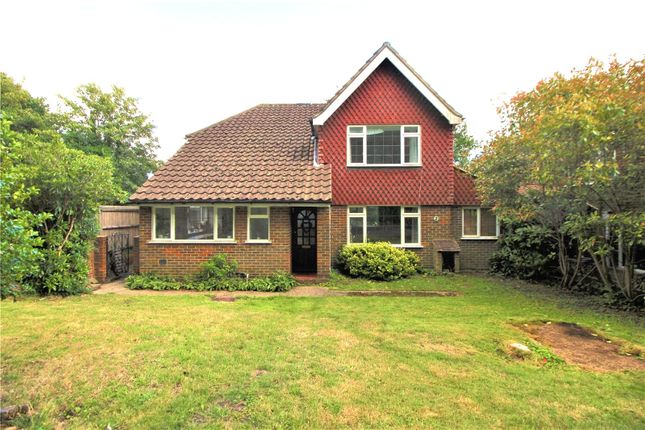 Thumbnail Detached house for sale in Tree Tops Avenue, Camberley, Surrey