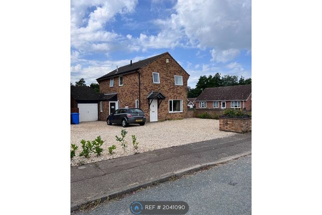 17 The Hedgerows