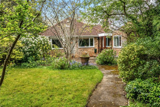 Bungalow for sale in Witches Lane, Sevenoaks, Kent