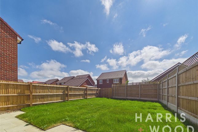 97, Marjorie Mitchell Way, Colchester photo 2