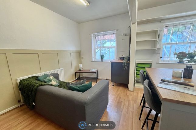 Living / Kitchen Area