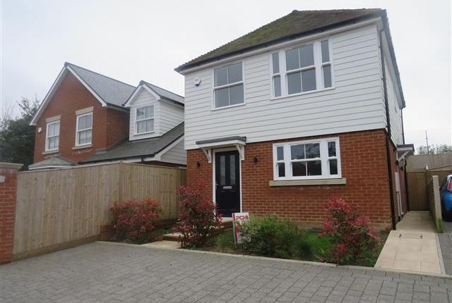 Property to rent in Turner Close, St. Leonards-On-Sea