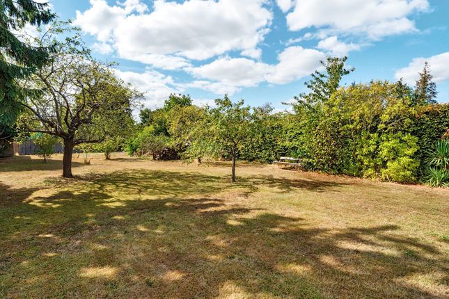 11, Embercourt Road, Thames Ditton photo 3