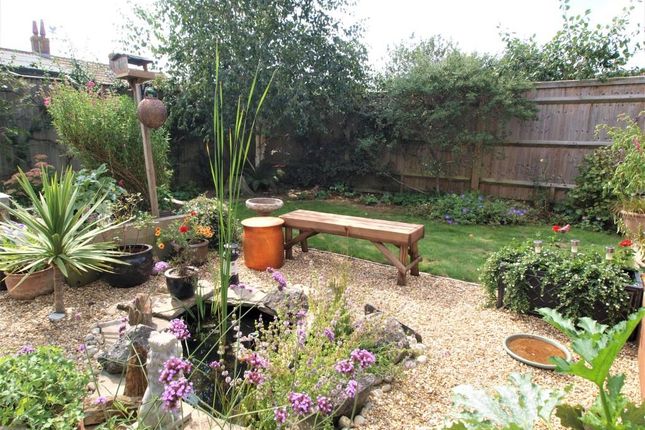 Thumbnail Semi-detached bungalow for sale in Sayerland Road, Polegate